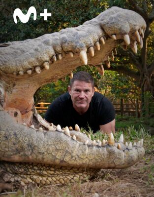 Hipopótamos y cocodrilos con Steve Backshall. Hipopótamos y...: Cocodrilos con Steve Backshall II