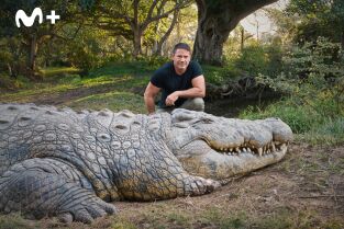 Hipopótamos y cocodrilos con Steve Backshall. Hipopótamos y...: Cocodrilos con Steve Backshall I