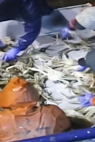 Pesca radical. Pesca radical: El tiempo se acaba