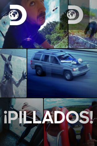 ¡Pillados!. ¡Pillados! 