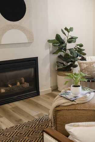 Las gemelas reforman dos veces. Las gemelas reforman...: De lío de colores a oasis