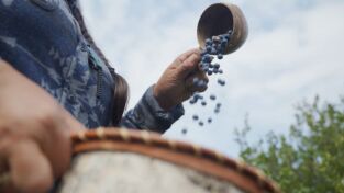 Los primeros habitantes de Alaska. Los primeros...: Modo sigilo