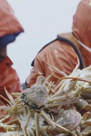 Pesca radical. Pesca radical: La verdad te hará libre