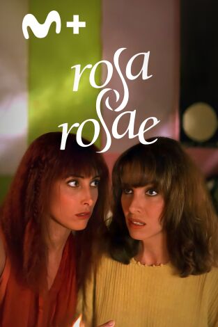 Rosa, Rosae