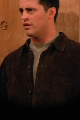 Friends. T(T2). Friends (T2): Ep.17 El de cuando Eddie viene a casa