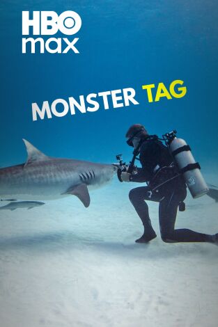 Tiburones en peligro