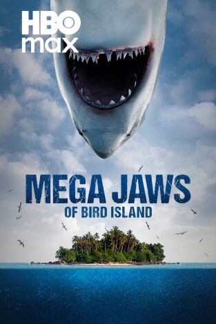 Tiburón hembra en Bird Island