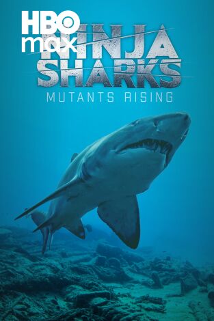 Tiburones ninja 2
