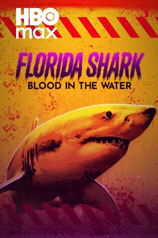 Tiburones en Florida