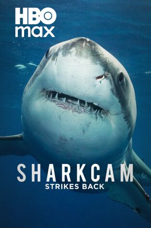 Sharkcam: Mejores momentos