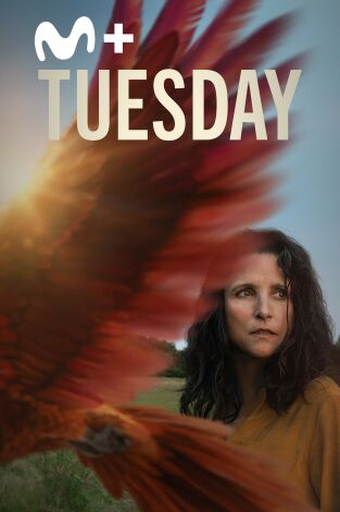 Tuesday