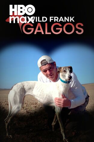 Wild Frank: Galgos