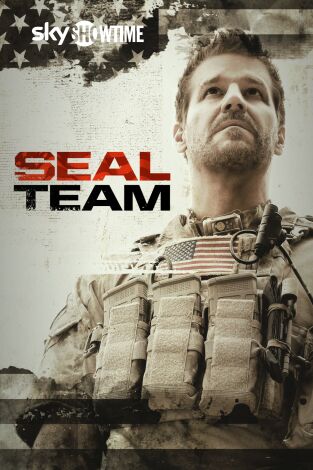 SEAL Team. T(T3). SEAL Team (T3)