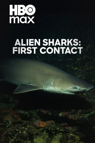 Tiburón alien: primer contacto