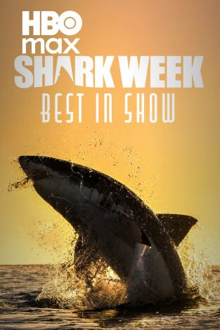 Shark week: lo mejor del año