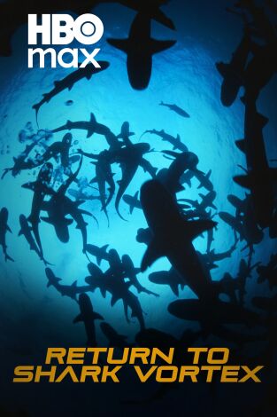 Nueva alerta, tiburones