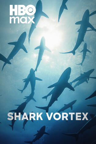 Alerta, tiburones