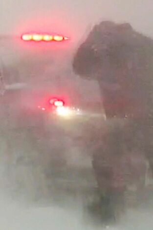En el ojo de la tormenta. En el ojo de la tormenta: Perdición en la nieve