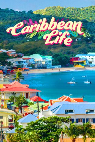 Quiero vivir en el Caribe. Quiero vivir en el...: Del gélido Boston a la soleado Isla de Vieques