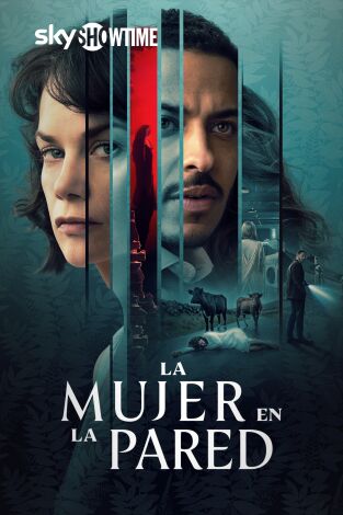 La mujer en la pared. T(T1). La mujer en la pared (T1)