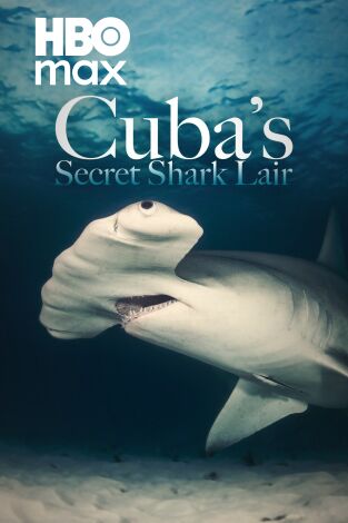 Tiburones gigantes de Cuba