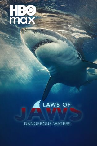 Tiburones: aguas peligrosas
