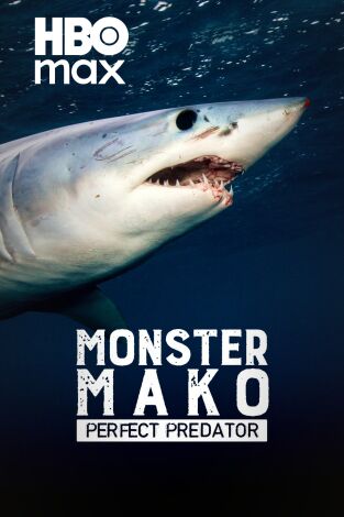El gran mako: depredador perfecto