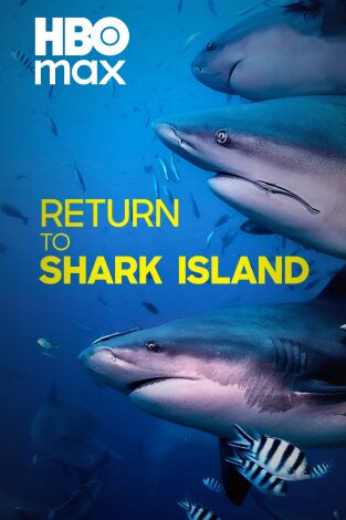 Retorno a la isla de los Tiburones