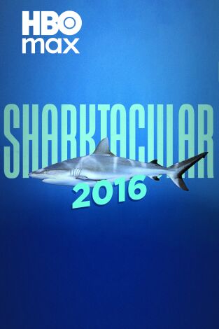 Sharktacular