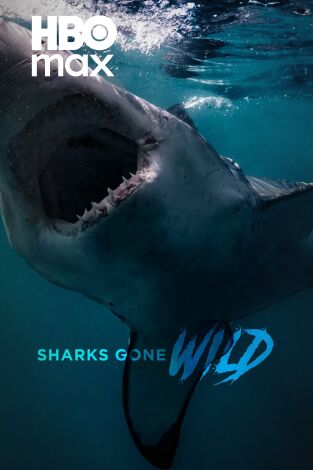 Tiburones.com