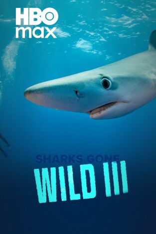 Tiburones.com 3