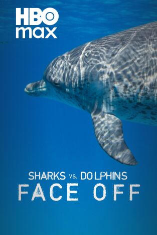 Tiburones contra delfines