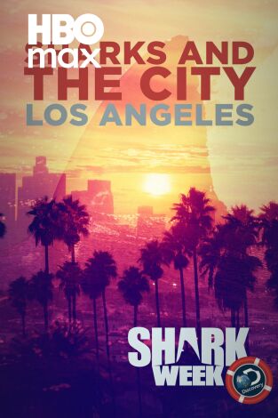 Tiburones en Los Ángeles