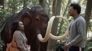 Colegio Abbott. T(T1). Colegio Abbott (T1): Ep.13 El globo del zoo