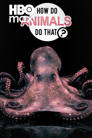 ¿Cómo lo hacen? Mundo animal. ¿Cómo lo hacen? Mundo animal 