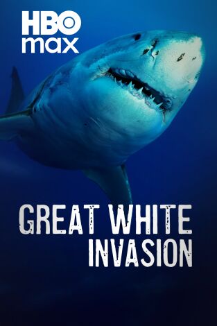 Los secretos del tiburón blanco