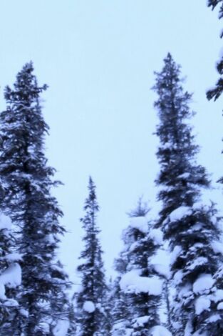 Los últimos de Alaska. T(T4). Los últimos de... (T4): Un legado para todos