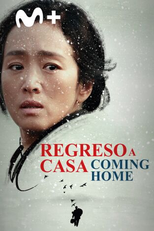 Regreso a casa - Coming Home