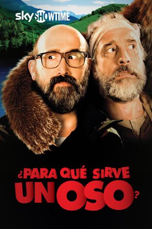 ¿Para qué sirve un oso?