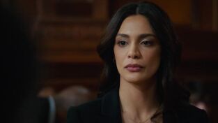 Ley y orden. T(T22). Ley y orden (T22): Ep.12 Casi famoso