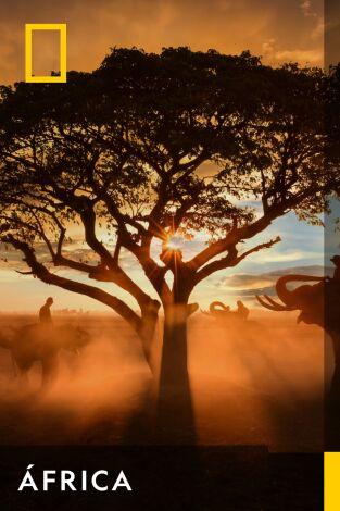África. África: La muerte llama a la puerta
