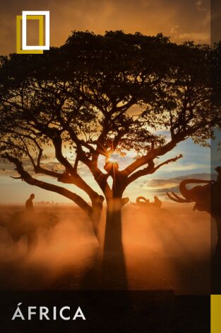 África