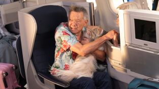 9-1-1. T(T8). 9-1-1 (T8): Ep.2 Cuando el Boeing se pone difícil...