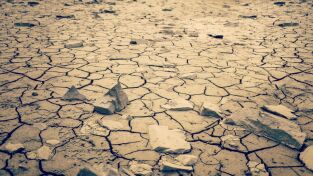 Cambio Climático. Cambio Climático: Before the Flood