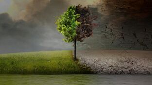Cambio Climático. Cambio Climático: Before the Flood