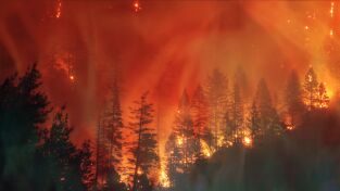 Cambio Climático. Cambio Climático: Infierno: Ola de calor en Francia