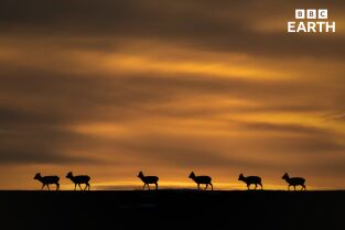 Asia. Asia: Los desiertos