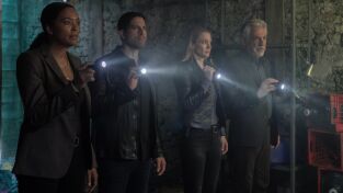 Mentes Criminales: Evolution. T(T17). Mentes... (T17): Ep.9 Barras y estrellas