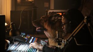 Hudson & Rex. T(T6). Hudson & Rex (T6): Ep.16 Rex, drogas y rock and roll