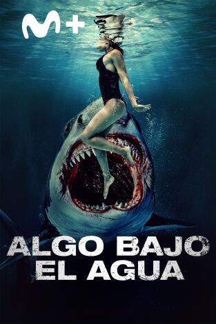 Algo bajo el agua